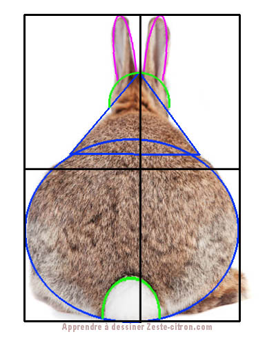 Base fondamentale du dessin la forme englobante