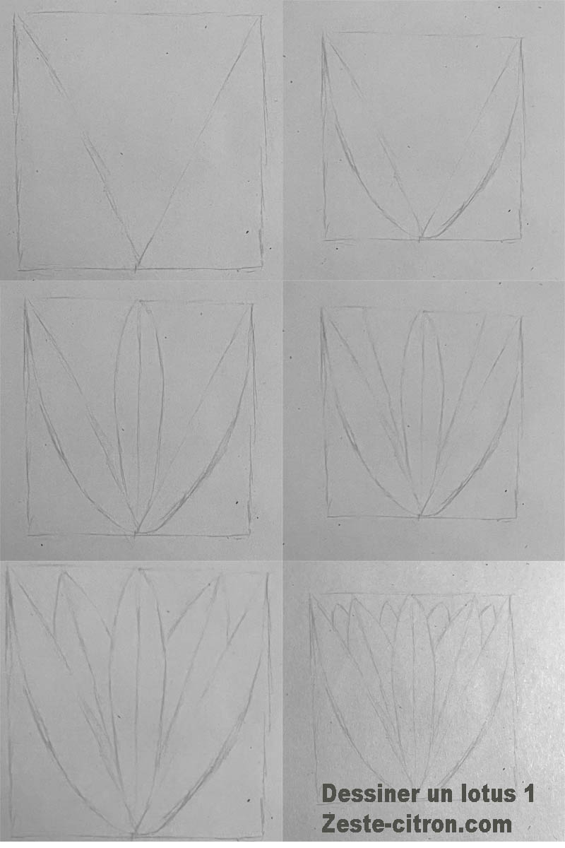dessiner les lotus sacrés