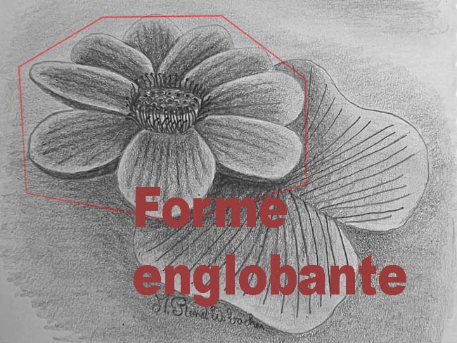 Dessiner une fleur de lotus étape par étape