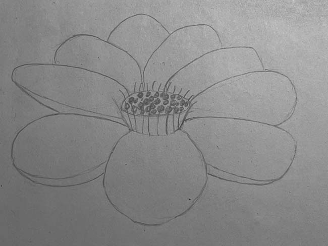 dessiner une fleur de lotus pas à pas