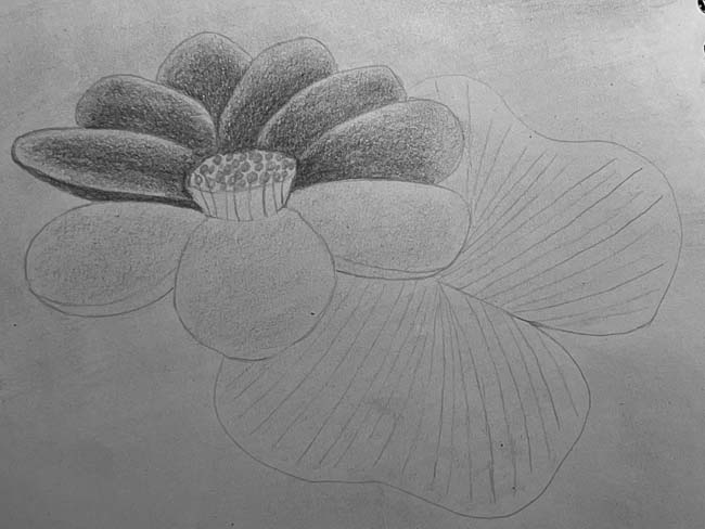 draw a flower step by step