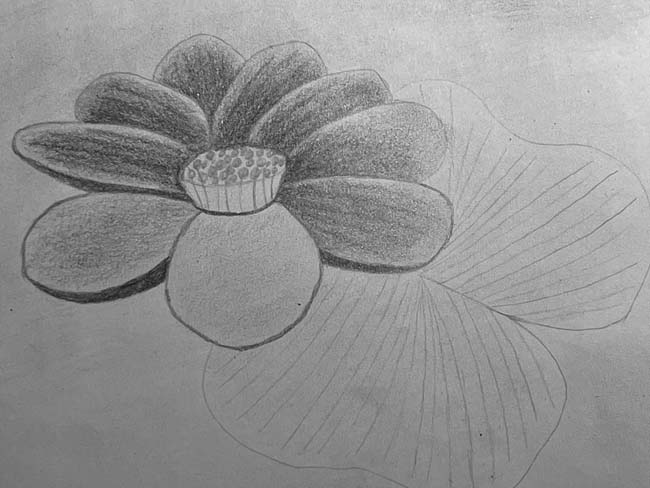draw a flower step by step